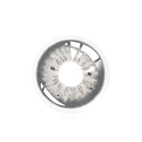 Kontaktlinsen farbig ohne Stärke grau | farbige graue Jahreslinsen | weiche Linsen | 2 Stück Farblinsen + Linsenbehälter | 0.0 Dioptrien | natürliche Farben | Charmiga Luxury Gray
