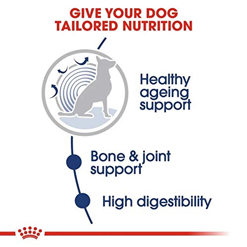 ROYAL CANIN Feuchte Lebensmittel Maxi Alter 8+ Fleischstücke in Senior Hundesauce von großen Rennen - Box 10 x 140 g (Taschen)