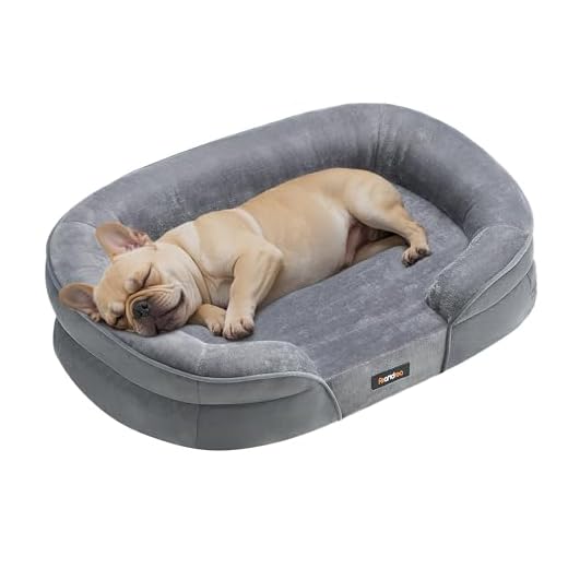 Orthopädisches Hundebett für mittelgroße Hunde