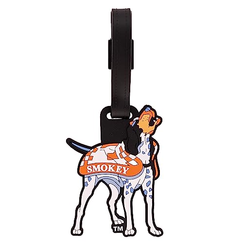 Desert Cactus University of Tennessee Luggage Tag UT Knoxville Volunteers Durable PVC Travel ID Label for Bags and Backpacks (Design B)