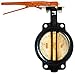 Legend Valve 116-423 Iron Wafer Butterfly Valve, Alum Bronze Disc, Buna Handle, 9.9"x11.4"x3.4"