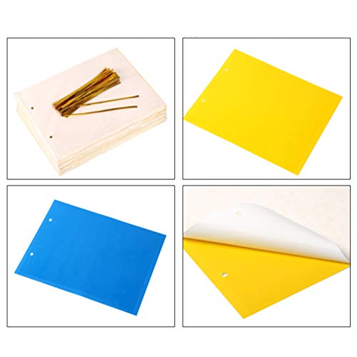 Yardwe 30Pcs Placas de Cola De Insetos Armadilhas de Cola de Insetos Armadilhas da Mosca Armadilhas