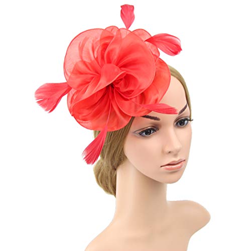 Image of DRESHOW Fascinators Hat Tea Party Headwear Ribbons Feathers on a Headband and a Clip for Women