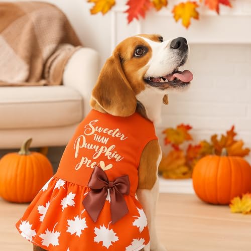 Abbylike 3 Pcs Seasonal Dog Outfits Christmas Halloween Thanksgiving Pet Costume Cotton Holiday Puppy Dress Lightweight Pet Apparel with Bowknot for Large Medium Cat Clothing, Medium - Image 5