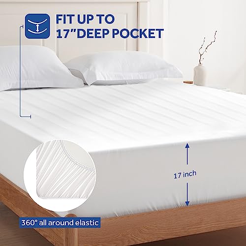 Sealy Heated Mattress Pad Queen Size with Dual Control 10 Heated Settings by Sealy - Used condition - Image 3