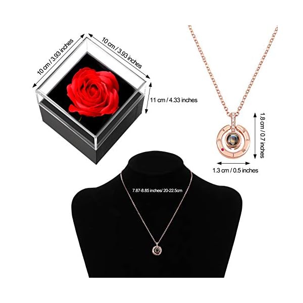 Hicarer Gift for Mom Mother's Day I Love You in 100 Languages Projection Necklace with Preserved Red Real Rose Flowers in Box for Women Wife on Anniversary - Image 3