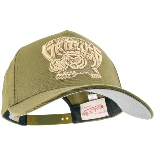 Casquette Vancouver Grizzlies Mitchell & Ness Snapback Pro Crown ajustable