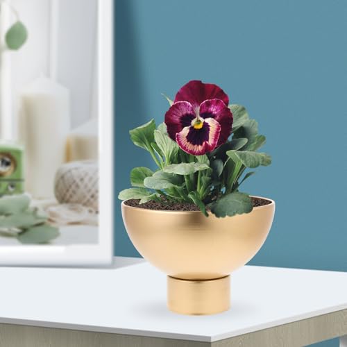 Pedestal Flower Bowl - Golden Metal Vase for Artificial Orchid Flowers Wedding Tabletop Centerpiece, Entryway Decoration (20x20cm) - Image 2