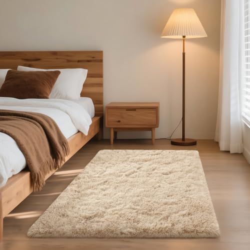 Mhyup 3x5 Rugs for Bedroom, Fluffy Area Rugs for Living Room, Light Tan