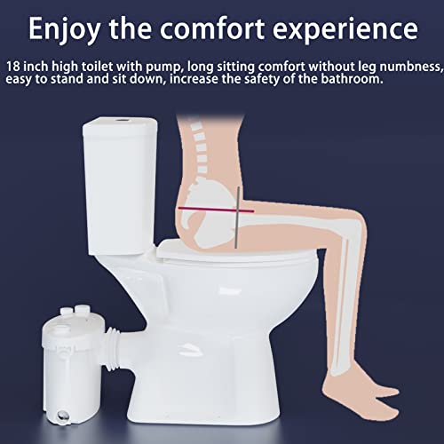 Image of SUPERFLO 19 Inch Macerating Toilet System 600W Upflush Toilet for Basement