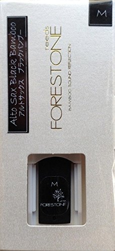フォレストーンアルトサックス」の人気商品一覧 | 安い商品を通販