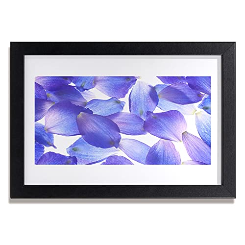 Affiche encadrée pour raviver un mur vide Tulup cadre mdf 30x20 cm motif plantes