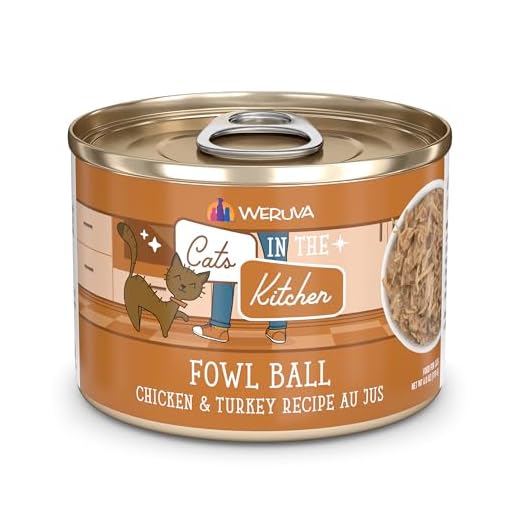 Weruva Cats in The Kitchen Au Jus