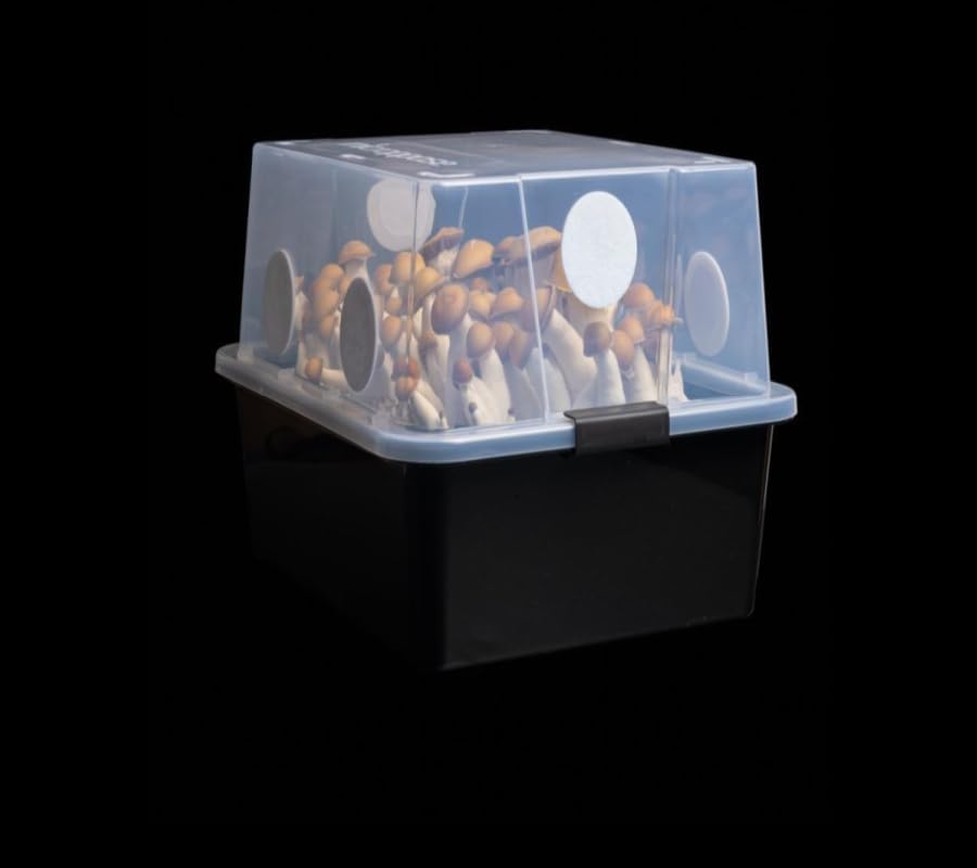 Miniatura 2 de Grower's Select 28Q Cube - Cámaras de fructificación monotub de hongos con discos de filtro y forros (paquete de 2)