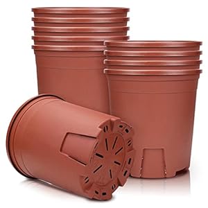 Muzihra kunststof plantenpot, wortelcontrole, kwekerij, zaailingenplanter, decoratieve tuinbloempot, groene container voor binnen, buiten bonsaiplanten, aloë, kruiden, orchidee en meer, set van 10 stuks, 11 cm – rood