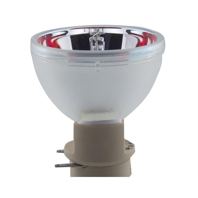 Lampe P-VIP 210/0.8 E20.9n résout l'écran noir de votre ViewSonic