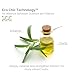 GIOVANNI Tea Tree Triple Treat Invigorating Conditioner - Cooling Peppermint, Eucalyptus, Rosemary, Helps Dry Flaking Scalp, Paraben Free, Helps to Moisturize, Smooth & Detangle- 8.5 oz (3 Pack)