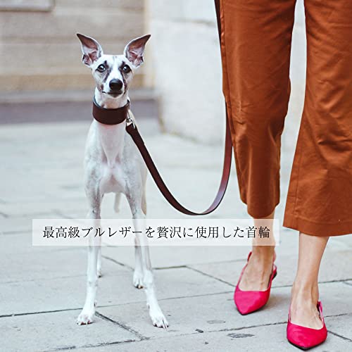 Ferplast 75137958 Hundehalsband VIP CW15/32, aus Leder, gepolstert, Breite: 1,5 cm, Halsumfang: 26-32 cm, braun