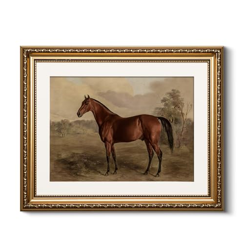 HUARCEY Arte de pared vintage con marco dorado, para dormitorio, baño, sala de estar, decoración de pared clásica de caballo, impresiones en lienzo, marco de fotos antiguo, pinturas rústicas