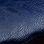 Blue Navy