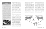 The Cattle Health Handbook: Preventive Care, Disease Treatments & Emergency Procedures for Promoting the Well-Being of Your Beef or Dairy Herd