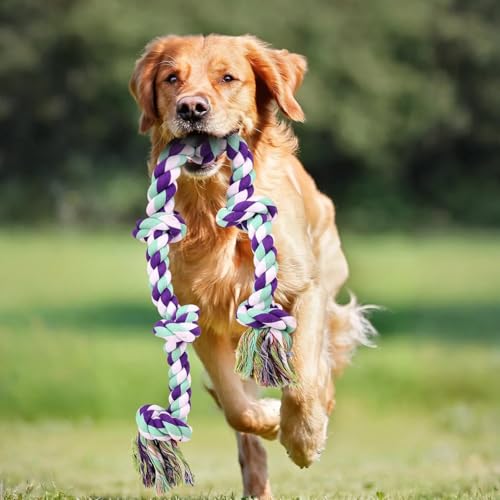 FREEMOSy^zVRRbg S݌v jɂ6߃[vi/jj