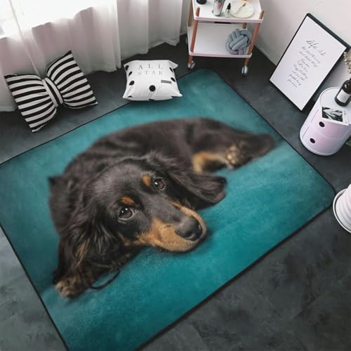 \t@[̏ł낮 _bNXth  J[ybg ` O}bg O O~ ėp h_j R h hL ӂƎG  DtlO g[Ή 􂦂 ~ߕt lC v[g 100 × 150 cm