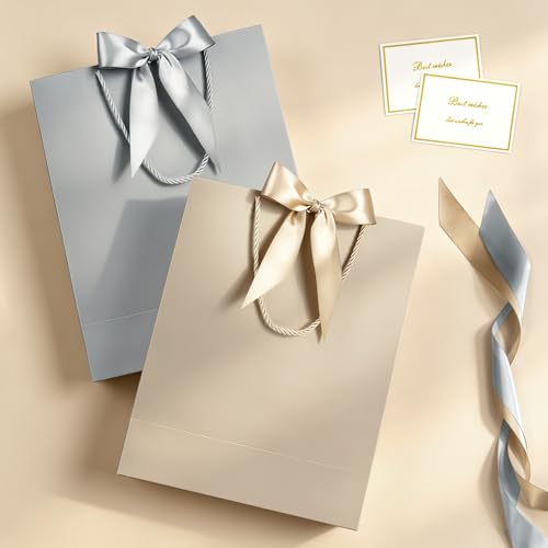 Image of JMANNI Gift Bag, 2PCS Gift Bags with Ribbon and 2 Greeting Cards 4 Tissue Paper, Portable Paper Gift Bag with Handles, Birthday Gift Bags,Present Bags for Wedding Party Mothers Day (Champagne silver)