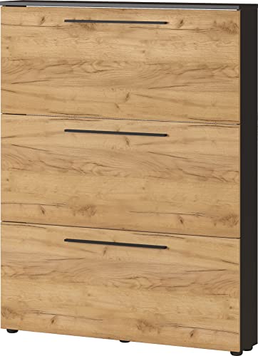 Germania Schuhschrank 3884-549 GW-Wildomar, in Graphit/Navarra-Eiche-Nb., Platz für bis zu 12 Paar Schuhe, geringe Tiefe - ideal für schmale Flure, 100 x 129 x 19 cm (BxHxT) Germania Schuhschrank 3884-549 GW-Wildomar, in Graphit/Navarra-Eiche-Nb., Platz für bis zu 12 Paar Schuhe, geringe Tiefe - ideal für schmale Flure, 100 x 129 x 19 cm (BxHxT)