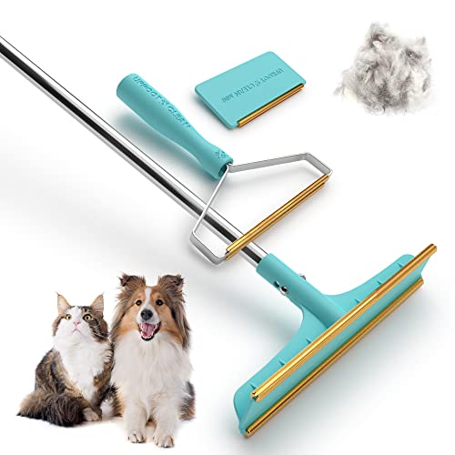 Amazon Best Sellers Best Dog Hair Removal Products
