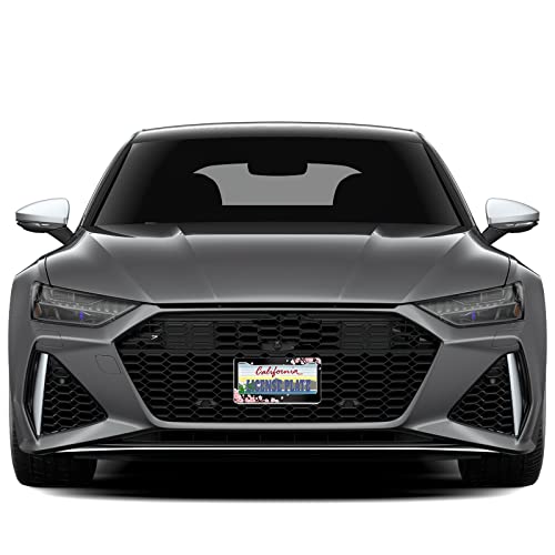 License Plate Frame Cherry Blossom License Plate Frames,Decorative Car Tag Frames Aluminum Metal License Plate Holder For Us Canada Standard 12X6Inch #TOP4