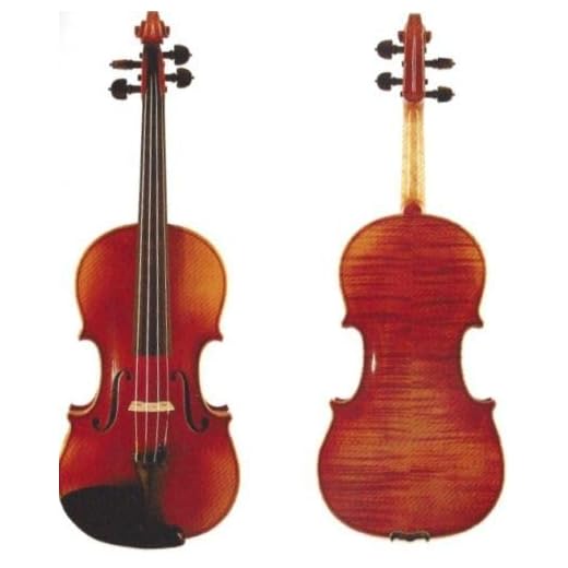 D Z Strad Violin Model 101 with Solid Wood with Case, Bow, and Rosin (1/4 - Size)