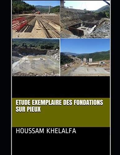 Etude exemplaire des fondations sur pieux (French Edition)