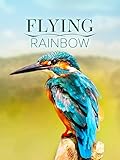 Flying Rainbow