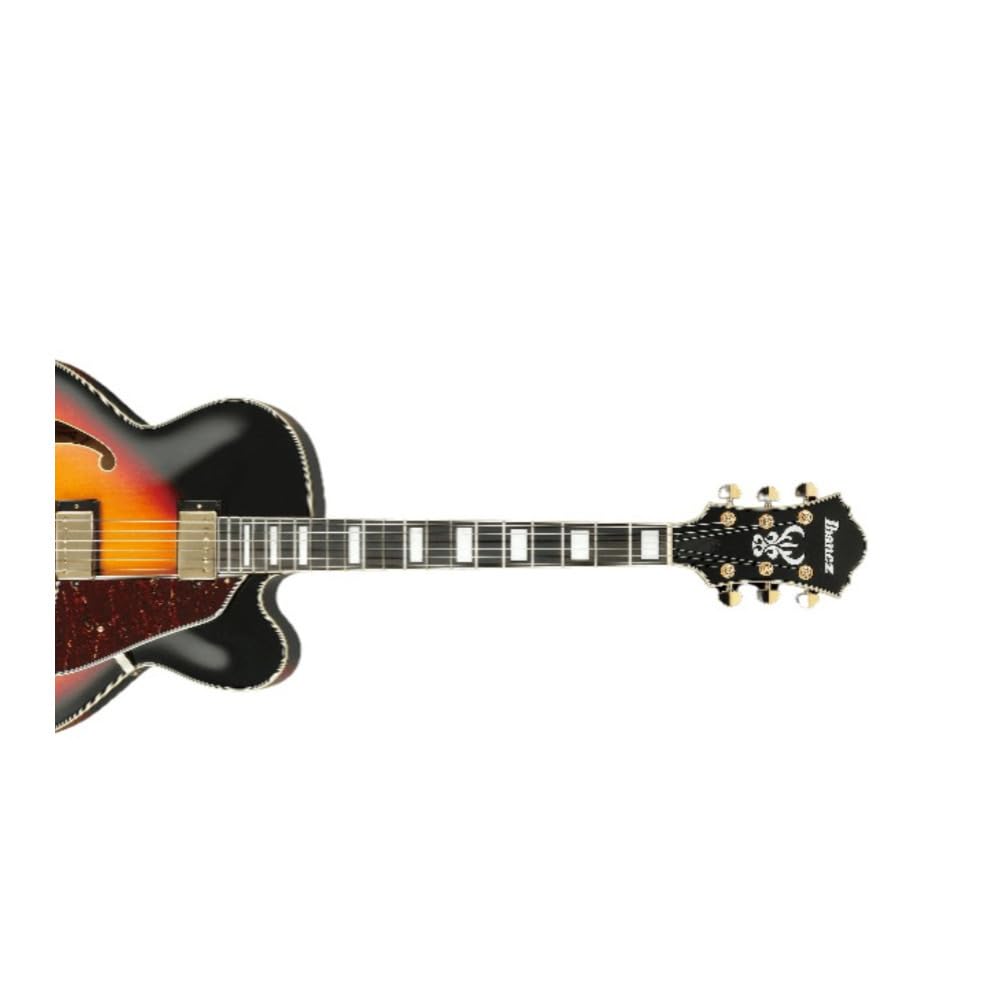 Amazon.com: Ibanez Artcore Expressionist AF95 Hollowbody