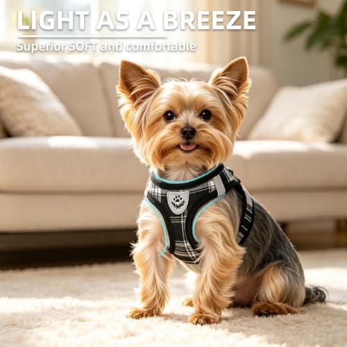 Image of Pupteck Adjustable No-Pull Dog Harness, Collar and Leash Set for Small Medium Dogs, Puppies and Cats, Soft Mesh Padded Reflective Chest Strap for Walking and Training (Black, S (Chest 14.5 inch-16 inch))