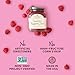Stonewall Kitchen Seedless Raspberry Jam, 12.5 Ounces