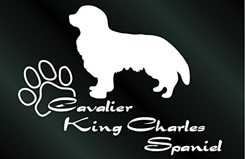 Sticker chien Cavalier King Charles blanc autocollant mural grand format décoration Studio Dom