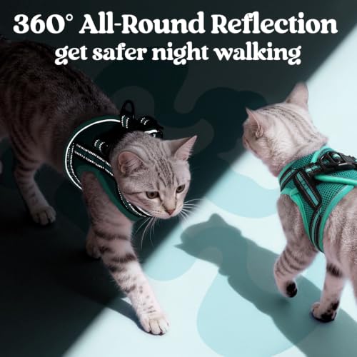 Image of rabbitgoo Cat Harness and Leash Set, Step-in Soft Vest, Turquoise & Green
