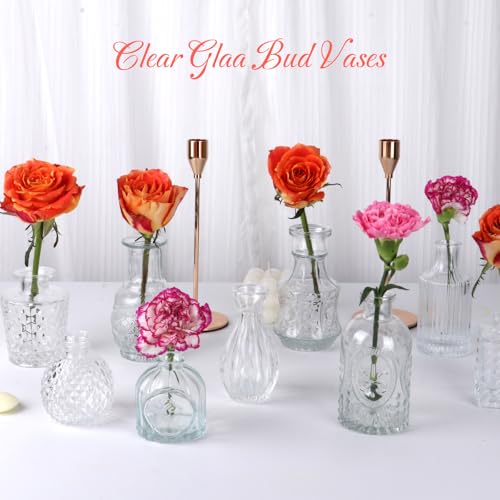image for STARSIDE Set of 30 Clear Glass Bud Vase in Bulk,Small Vintage Bud Vase