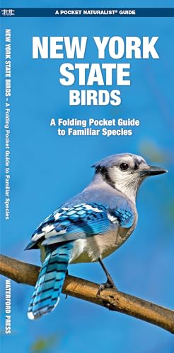 New York State Birds (Nature Observation North America)