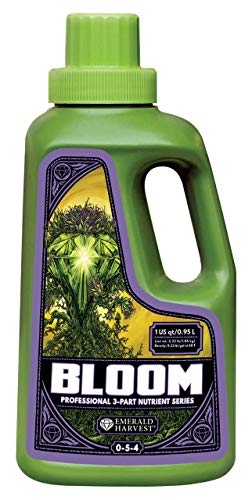 Bloom (1 Quart) miniatura 2