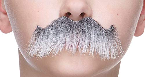 Mustaches Fake Mustache, Self Adhesive, Novelty, Small Rocking Grandpa's False Facial Hair, Costume Accessory for Kids, Gray with White Color Mustaches Fake Mustache, Self Adhesive, Novelty, Small Rocking Grandpa's False Facial Hair, Costume Accessory for Kids, Gray with White Color