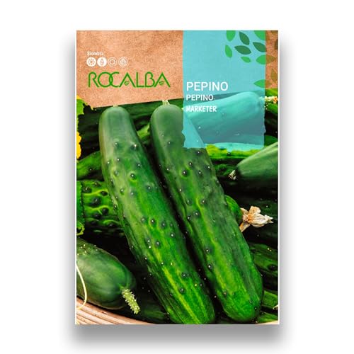 Semillas Pepino Variedad Marketer | Sobre 10 GR | Semillas Profesionales para cultivar tus Pepinos en tu huerta | Rocalba