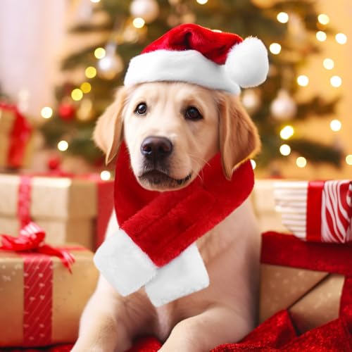 KONVINIT Weihnachtsmütze Hund Klein Weihnachtsmütze für Hunde,Weihnachtsmütze Katze Nikolausmütze Hund Santa Mütze für Welpen Kleine Katzen Hunde,rot Size S