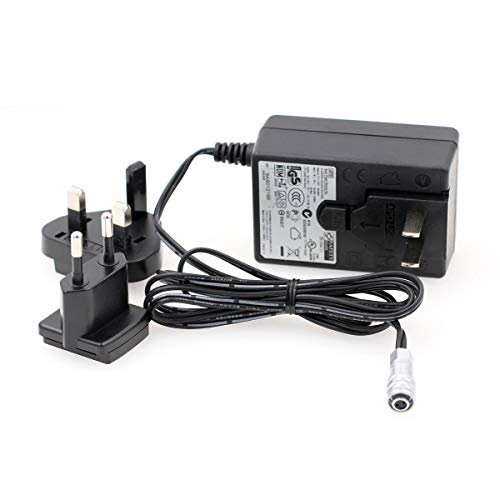 HangTon BMPCC - Adaptador de fuente de alimentación 4K 6K Pro 12V CA CC para cámara de cine de bolsillo Blackmagic Design - imagen 4
