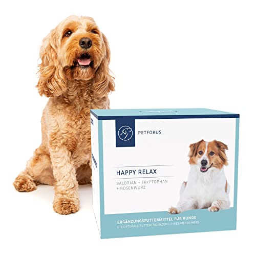 Gabapentin beim Hund Anwendung und Nebenwirkungen hundegesundheit.de