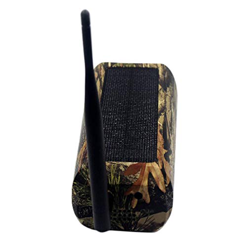 Solar Wildkamera mit Bewegungsmelder Nachtsicht, Wildkamera 1080P HD Jagdkamera Infrarote IP65 Wasserdicht Überwachungskamera