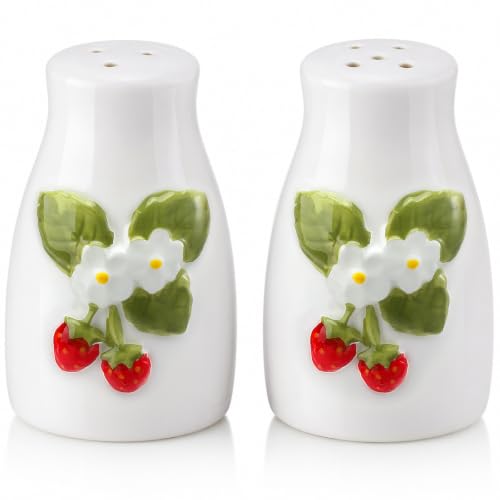 Acellegic 2 Pcs Ceramic Salt and Pepper Shakers Set by Acellegic - Used condition - US$14.58