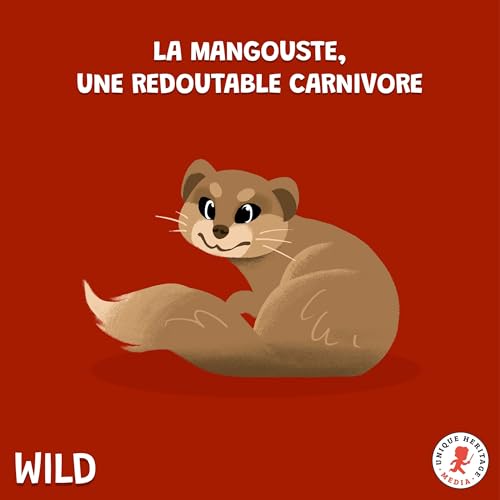 La Mangouste, une redoutable carnivore !